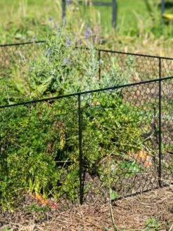 Chicken Wire Critter Fence, 16" High -Gardening Supplies Store 8613249 0352