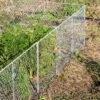 Chicken Wire Critter Fence, 16" High -Gardening Supplies Store 8613249 0368 chicken wire critter fence 16 inches high