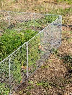 Gardening Supplies Store 18 Chicken Wire Critter Fence, 16" High