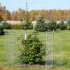 Tall Chicken Wire Critter Fence Extension Panel, Set Of 2 2 Tall Chicken Wire Critter Fence Extension Panel, Set Of 2 -Gardening Supplies Store 8613260 0036