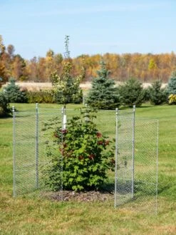 Gardening Supplies Store 7 Tall Chicken Wire Critter Fence Extension Panel, Set Of 2