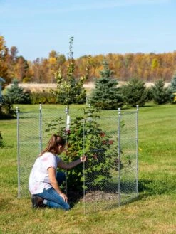 Tall Chicken Wire Critter Fence With Gate -Gardening Supplies Store 8613260 0044