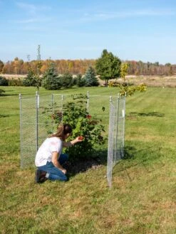 Tall Chicken Wire Critter Fence Extension Panel, Set Of 2 20 Tall Chicken Wire Critter Fence Extension Panel, Set Of 2 -Gardening Supplies Store 8613260 0090