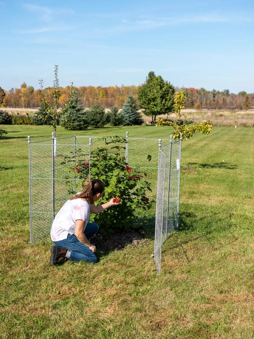 Tall Chicken Wire Critter Fence Extension Panel, Set Of 2 7 Tall Chicken Wire Critter Fence Extension Panel, Set Of 2 - Image 5