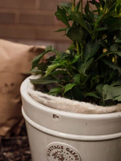 Hortiwool ®, 5 Pad Pack -Gardening Supplies Store 8613263 17v