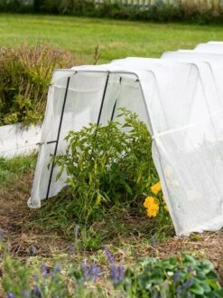 Zenith Garden Hoops, Set Of 4 13 Zenith Garden Hoops, Set Of 4 -Gardening Supplies Store 8613313 0133 1