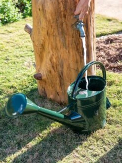 Long Reach Watering Can, Large 11 Long Reach Watering Can, Large -Gardening Supplies Store 8613346 0147