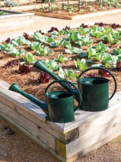 Long Reach Watering Can, Large 12 Long Reach Watering Can, Large -Gardening Supplies Store 8613346 0148 1