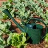 Long Reach Watering Can, Large 2 Long Reach Watering Can, Large -Gardening Supplies Store 8613346 0149