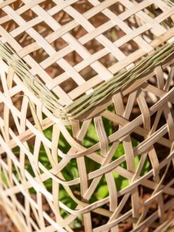 Bamboo Cloche, Set Of 2 -Gardening Supplies Store 8613351 0154