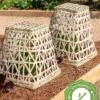 Bamboo Cloche, Set Of 2 2 Bamboo Cloche, Set Of 2 -Gardening Supplies Store 8613351 12