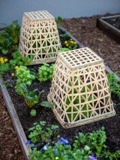 Bamboo Cloche, Set Of 2 -Gardening Supplies Store 8613351 6766