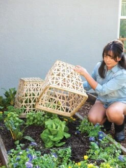 Bamboo Cloche, Set Of 2 -Gardening Supplies Store 8613351 6862