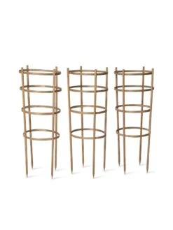 Bamboo Tomato Cages, Set Of 3 17 Bamboo Tomato Cages, Set Of 3 -Gardening Supplies Store 8613426 4679 bamboo tomato cages 3