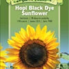 Hopi Black Dye Sunflower Organic Seeds -Gardening Supplies Store 8613630 01v hopi black dye sunflower