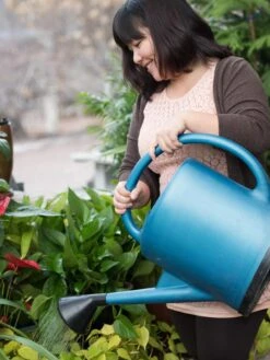 French Blue Watering Can -Gardening Supplies Store EmilyHoangSquare 0151 tif
