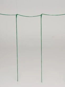 Curved Linking Stakes 10 Curved Linking Stakes -Gardening Supplies Store GS35241 04S tif