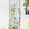 Jardin Flower Trellis -Gardening Supplies Store GS38689 02 tif