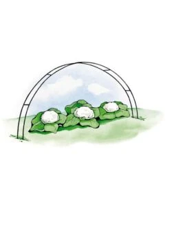 Super Hoops, Set Of 6 10 Super Hoops, Set Of 6 -Gardening Supplies Store GS39423 02S 3 4