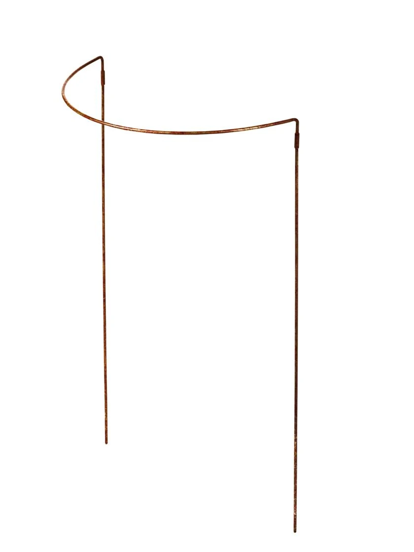 Jardin Half-Round Plant Supports, Set Of 2 4 Jardin Half-Round Plant Supports, Set Of 2 - Image 2