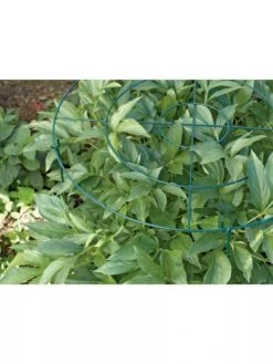 Grow Through Supports, Set Of 3 9 Grow Through Supports, Set Of 3 -Gardening Supplies Store GS40172 01 1