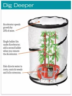 Tomato TLC Kits, Set Of 3 -Gardening Supplies Store hiw 8594214 jpg